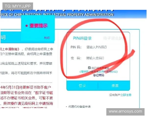 九游官网登录中心验证码输入错误怎么办以及详细解决方案推荐 九游官网登录中心验证码输入错误怎么办以及详细解决方案推荐